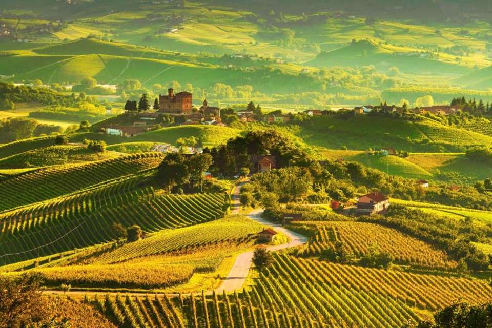 Tuscany Wellness & Cultural Escape - Omega Tours - Italy - Image 5