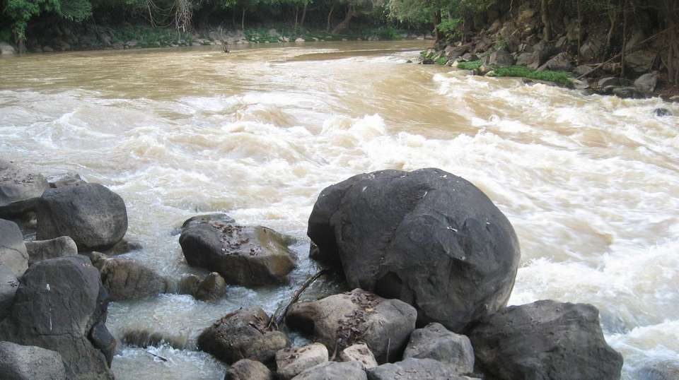 Two-day Visit Nam Cat Tien National Park from Ho Chi Minh - undefined - Image 2