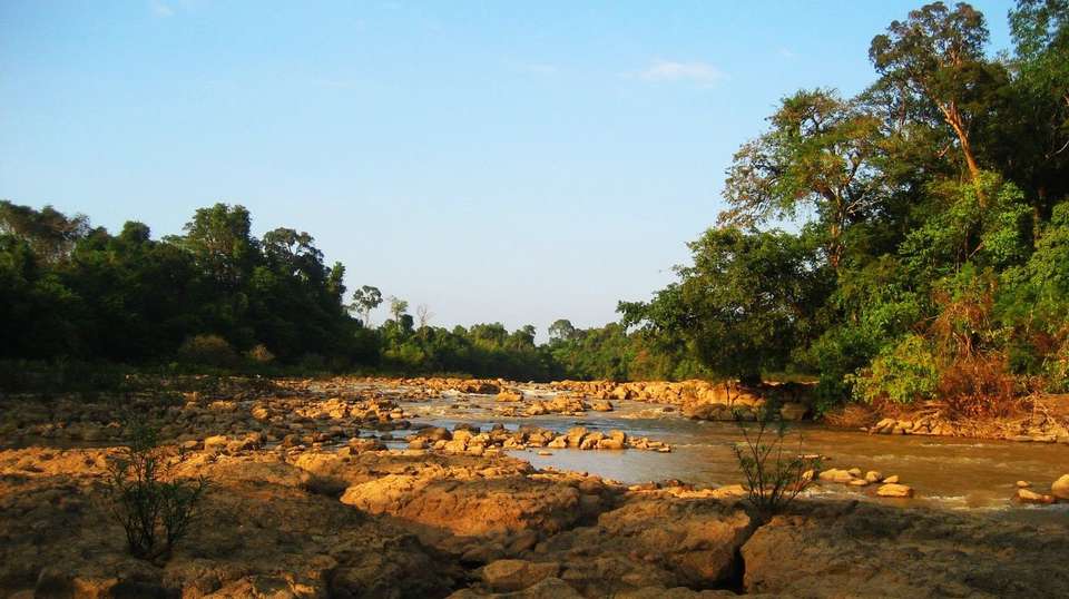 Two-day Visit Nam Cat Tien National Park from Ho Chi Minh - undefined - Image 4