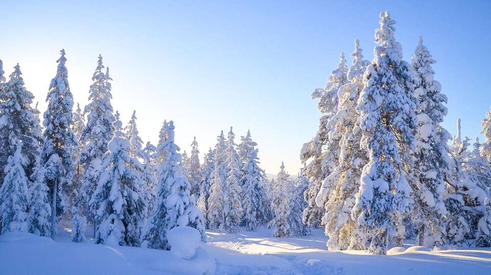 Two Full Days in Lapland - undefined - Image 10