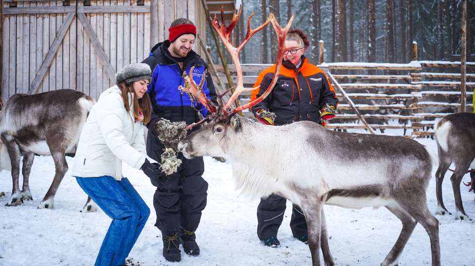 Two Full Days in Lapland - undefined - Image 11