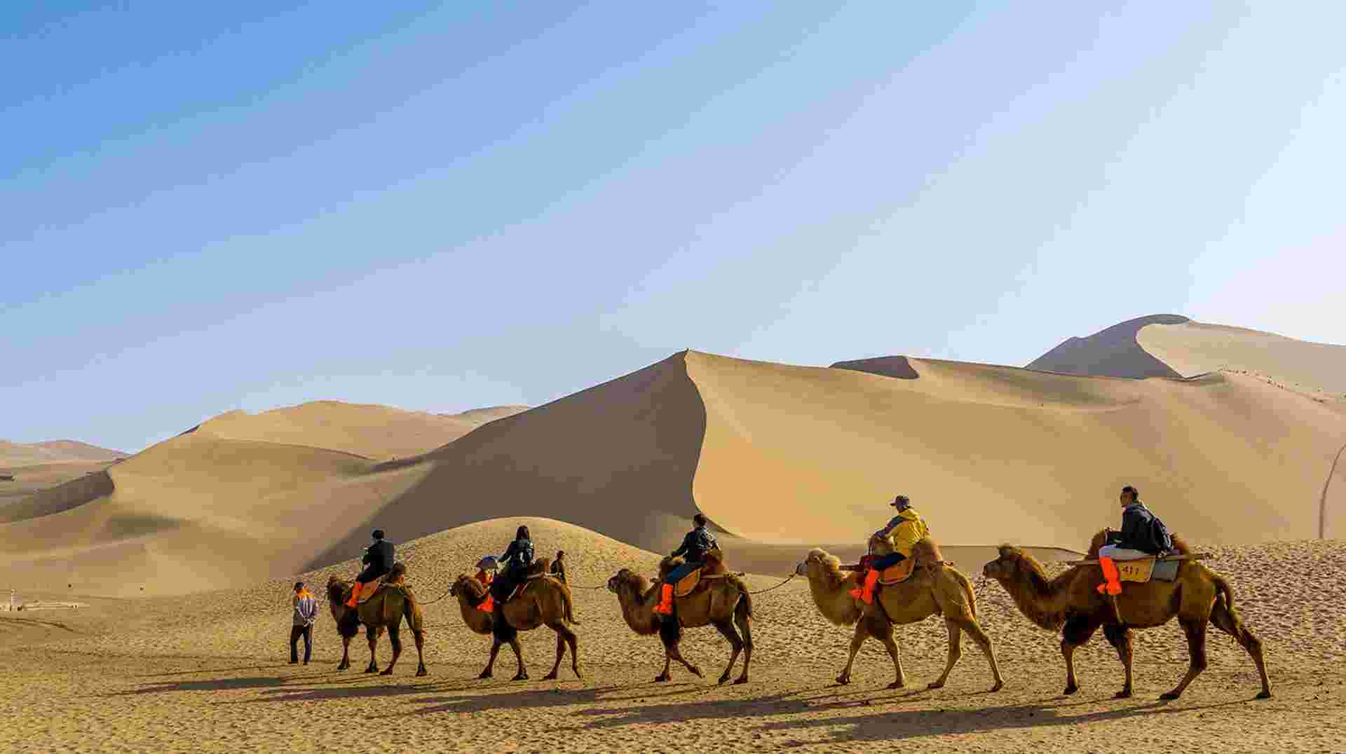 Two-Week Journey Through the Silk Road