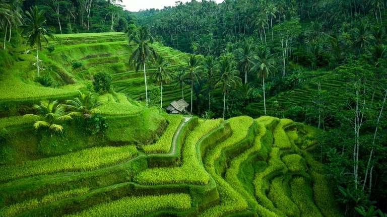 Bali Private Car Charter With English Speaking Driver trip - alternative tour available
