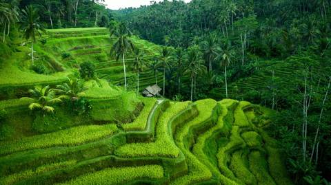 Bali Private Car Charter With English Speaking Driver - 9 Hours