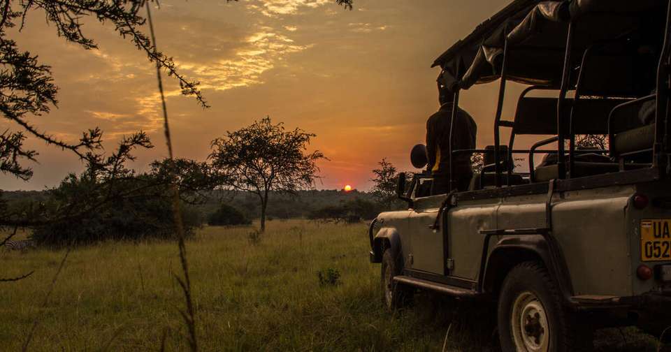 Uganda and Rwanda Gorilla Discovery - Explore - Uganda - Image 3