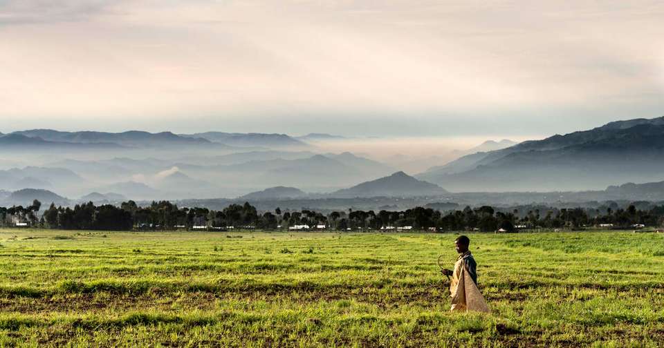Uganda and Rwanda Gorilla Discovery - Explore - Uganda - Image 7