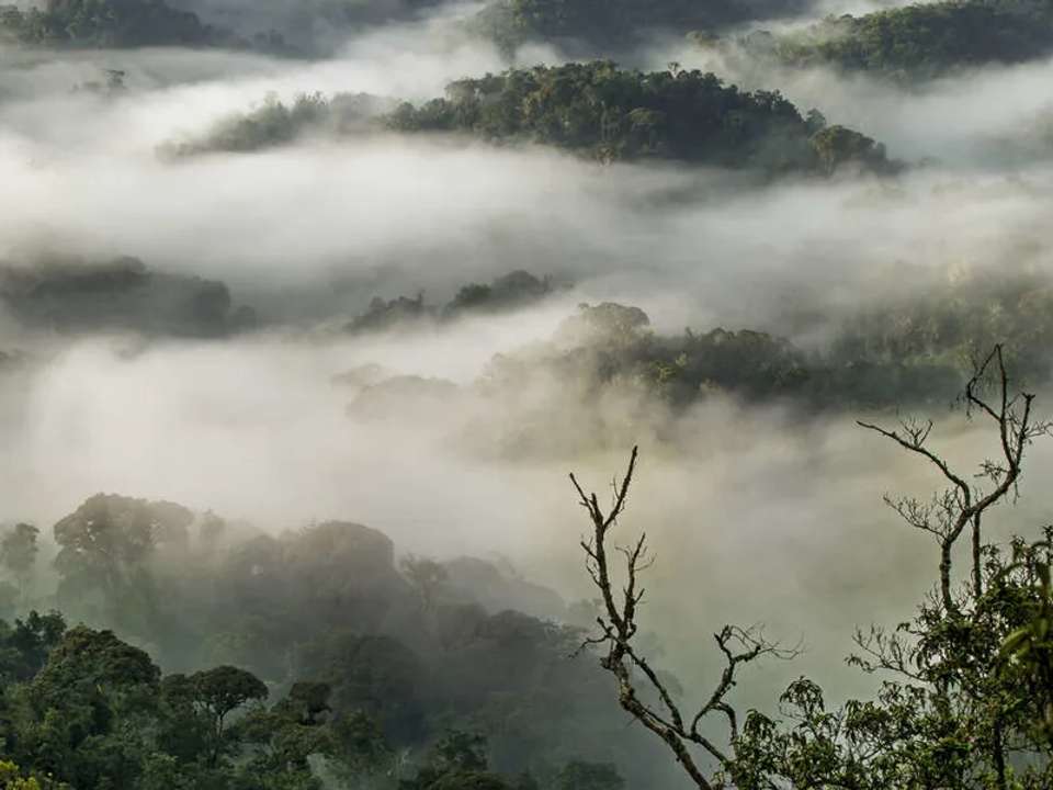 Image 10 of 15