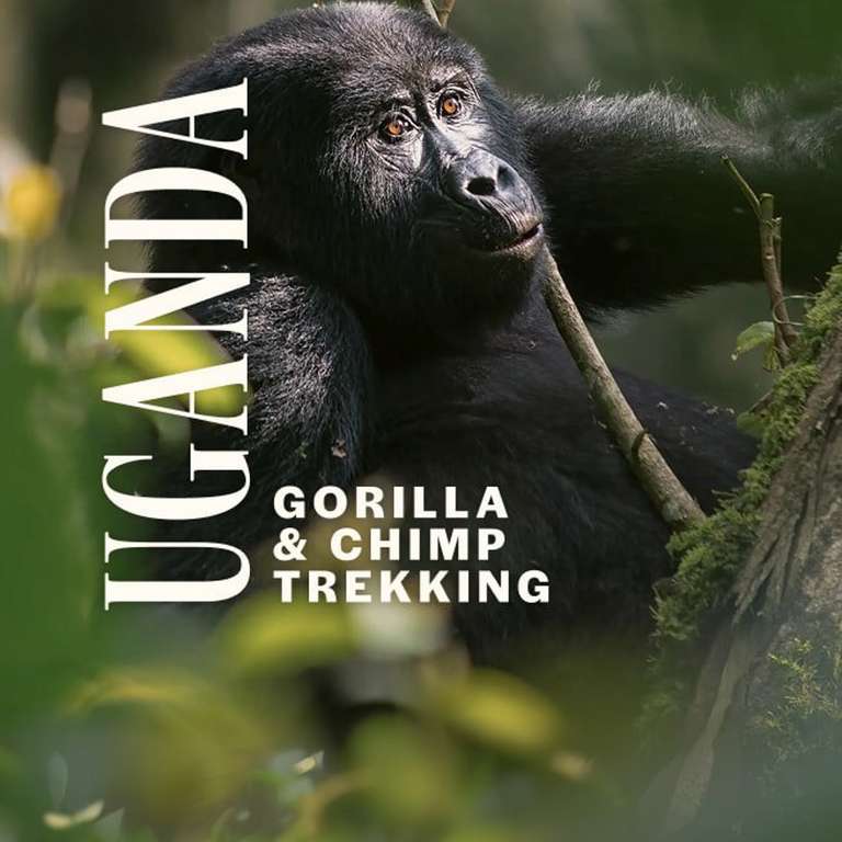 Uganda: Gorilla and Chimp Trekking - 7 days