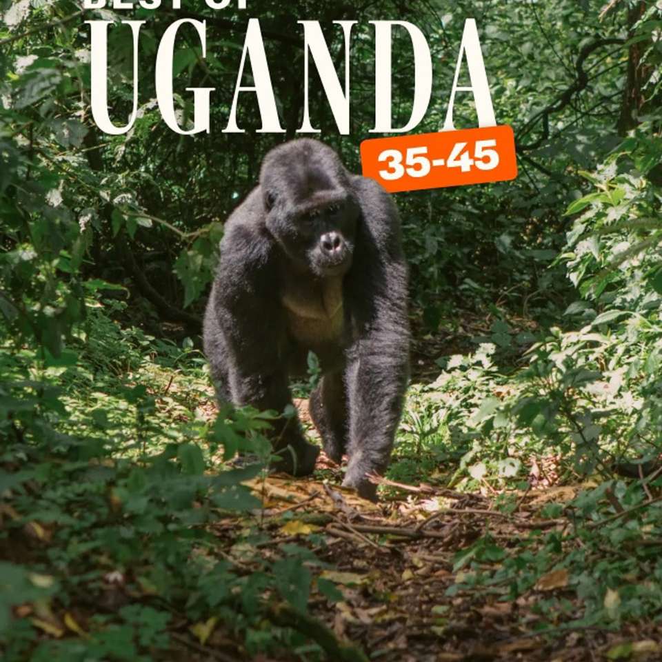 Best of Uganda 35 to 45 - undefined - Image 2