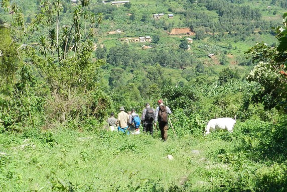 Image 2 of 4