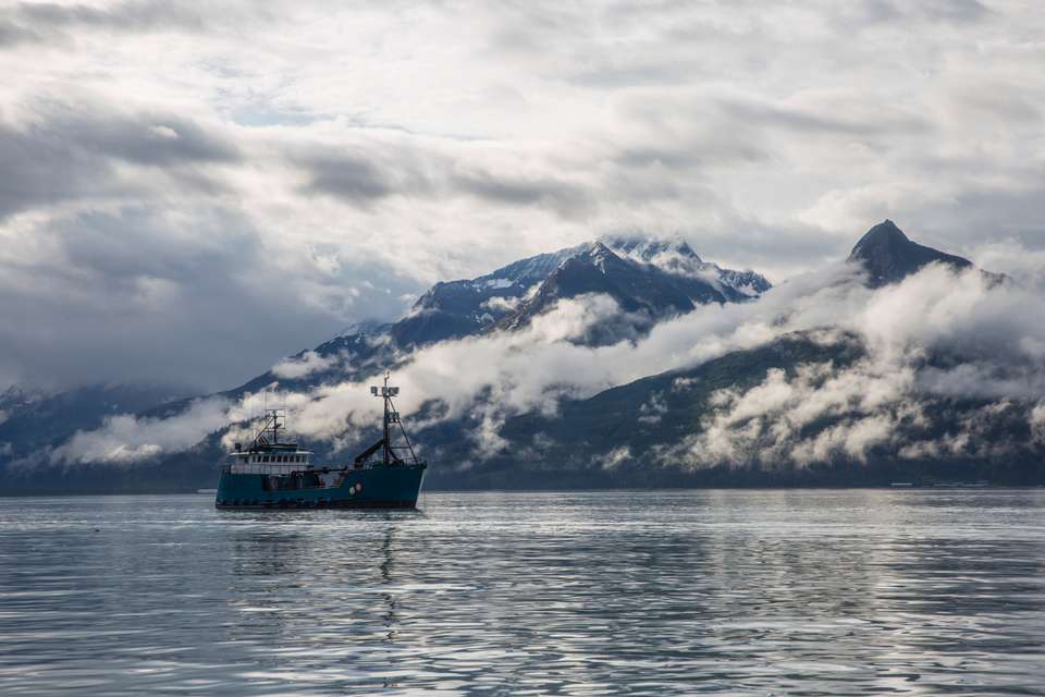 Image 12 of 12