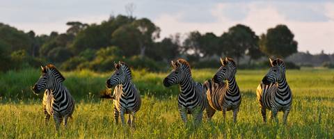 Ultimate African Expedition