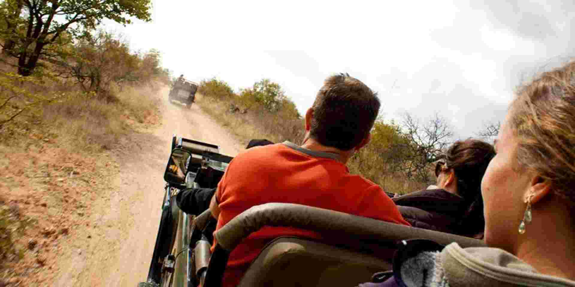 Ultimate African Safari: Kruger, Hwange, Chobe, & the Okavango Delta