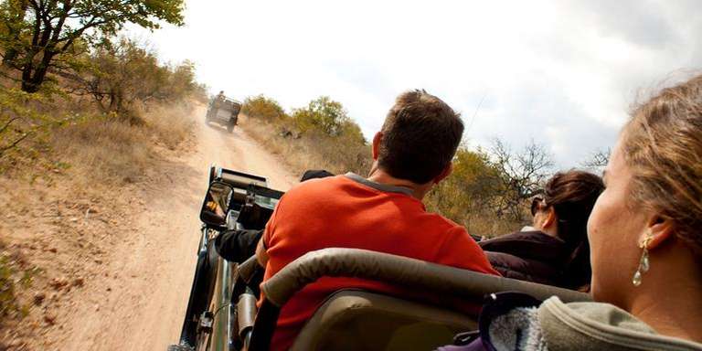 Ultimate African Safari: Kruger, Hwange, Chobe, & the Okavango Delta trip - alternative tour available