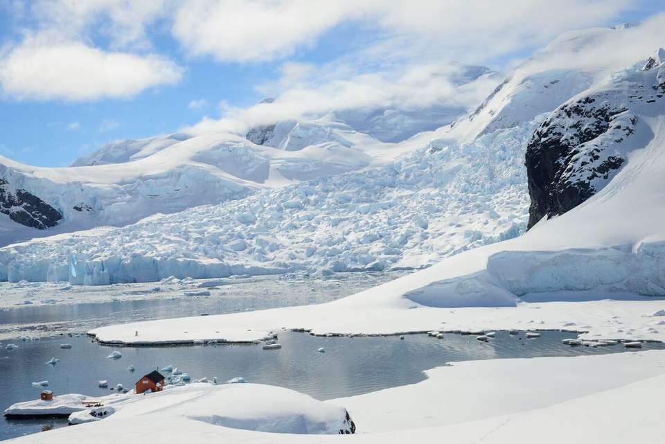 Ultimate Antarctic Circle Crossing (Ocean Albatros) - Intrepid Travel - Argentina - Image 10