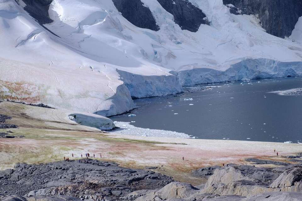 Ultimate Antarctic Circle Crossing (Ocean Albatros) - Intrepid Travel - Argentina - Image 11