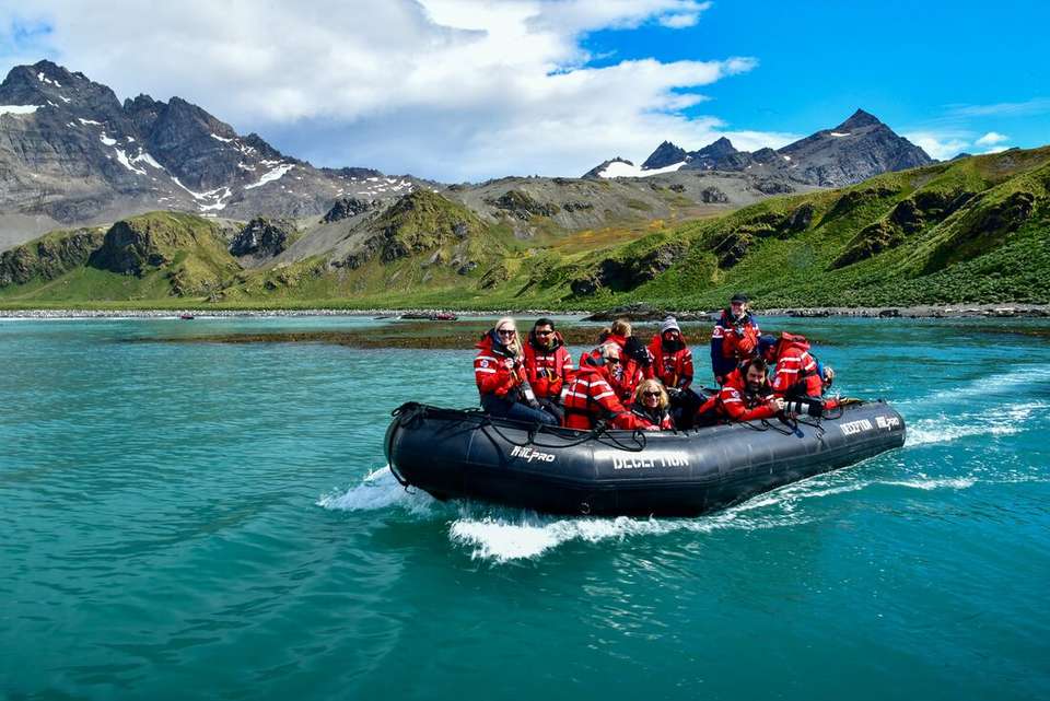 Ultimate Explorer: Falklands, South Georgia & Antarctic Circle (Ocean Nova) - Intrepid Travel - Argentina - Image 5