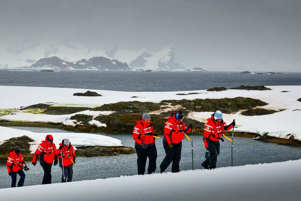 Ultimate Explorer: Falklands, South Georgia & Antarctic Circle (Ocean Nova) - Intrepid Travel - Argentina - Image 6