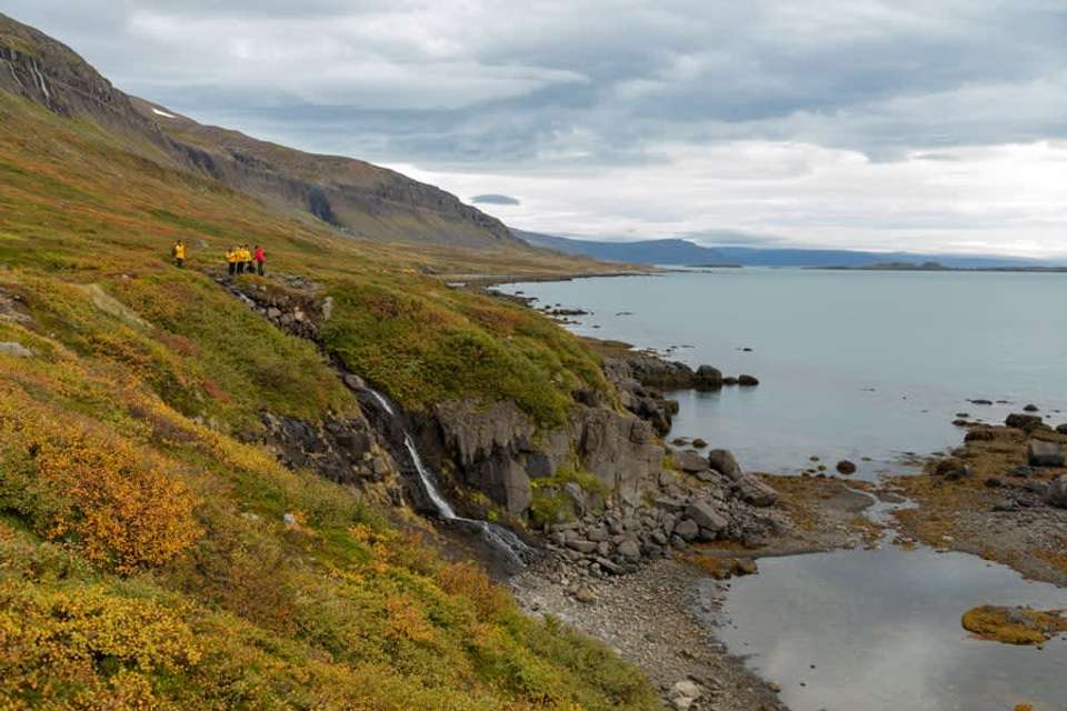 Ultimate Arctic Voyage: From Svalbard to Jan Mayen to Iceland - undefined - Image 2