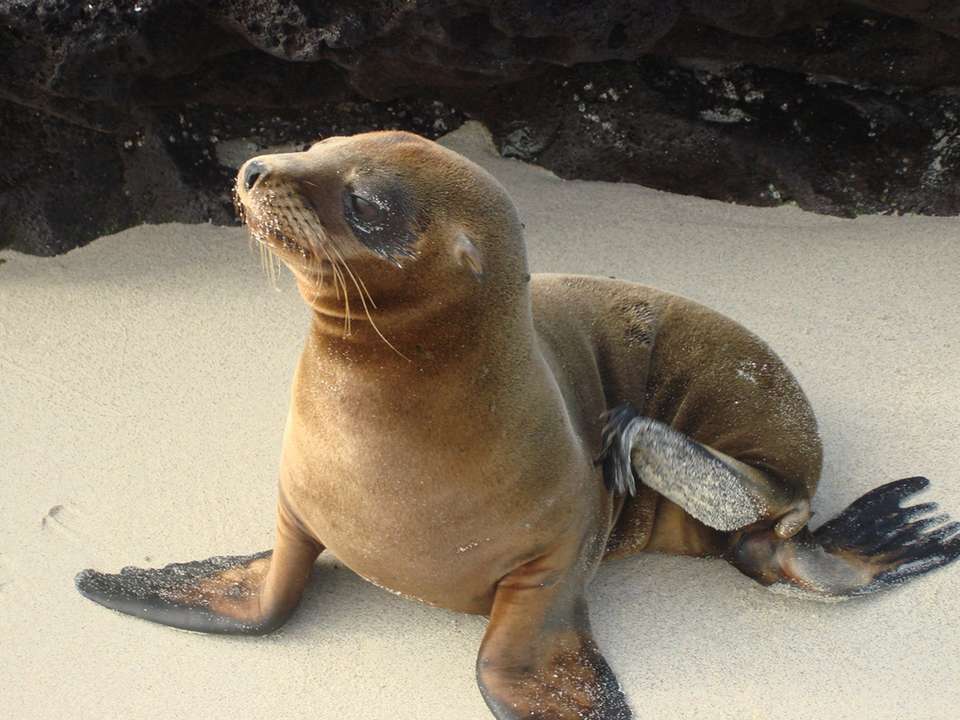 Ultimate Galapagos - 10 days - On The Go Tours - Ecuador - Image 2