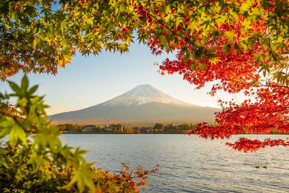 Ultimate Japan - Intrepid Travel - Japan - Image 1