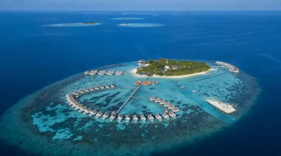 Ultimate Maldives & Sri Lanka Luxury Tour - Tweet World Travel - Sri Lanka - Image 12
