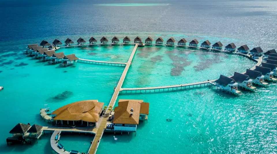 Ultimate Maldives & Sri Lanka Luxury Tour - Tweet World Travel - Sri Lanka - Image 14