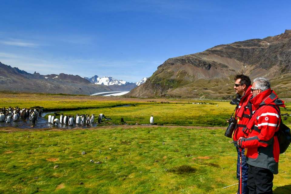 Ultimate New Year's: Falklands, South Georgia & Antarctic Circle (Ocean Albatros) - undefined - Image 1