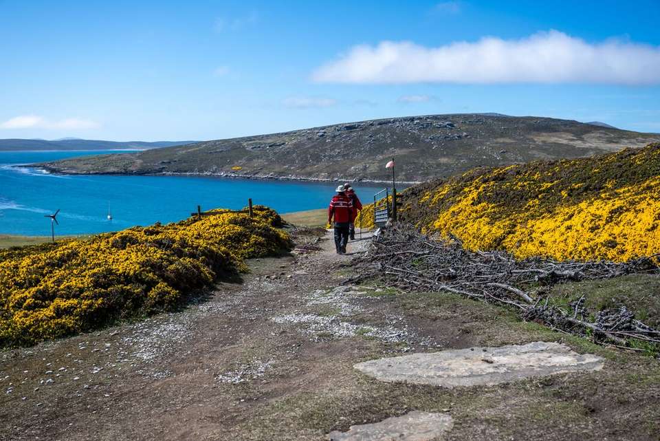 Ultimate New Year's: Falklands, South Georgia & Antarctic Circle (Ocean Albatros) - undefined - Image 6