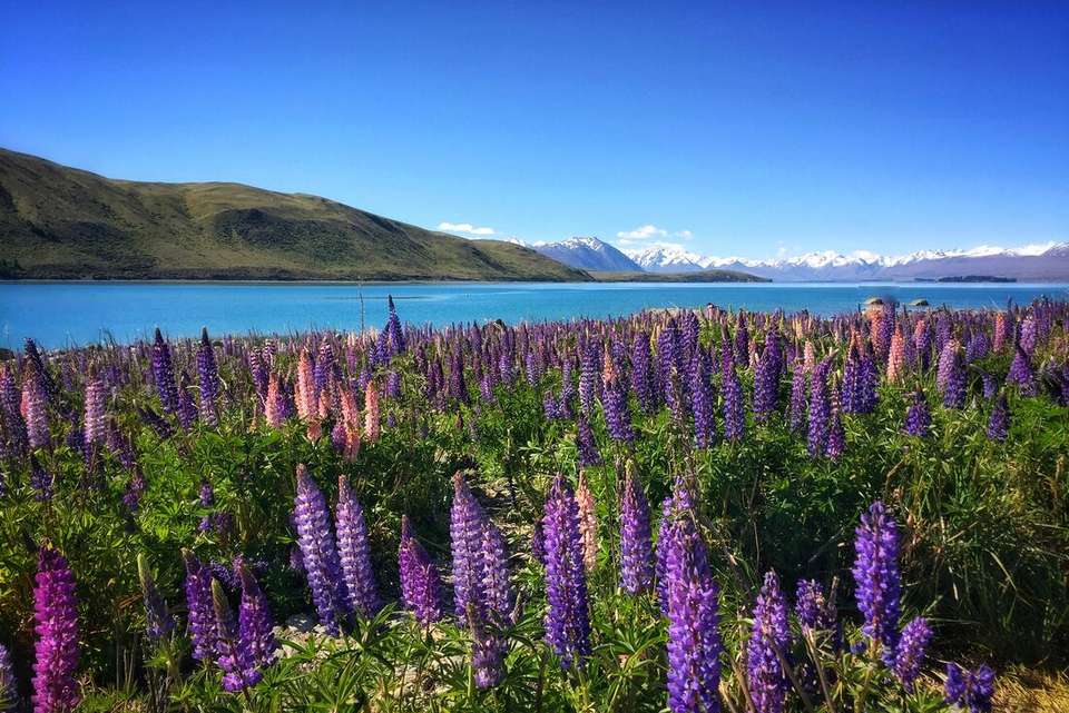 Ultimate New Zealand - Intrepid Travel - New Zealand - Image 10