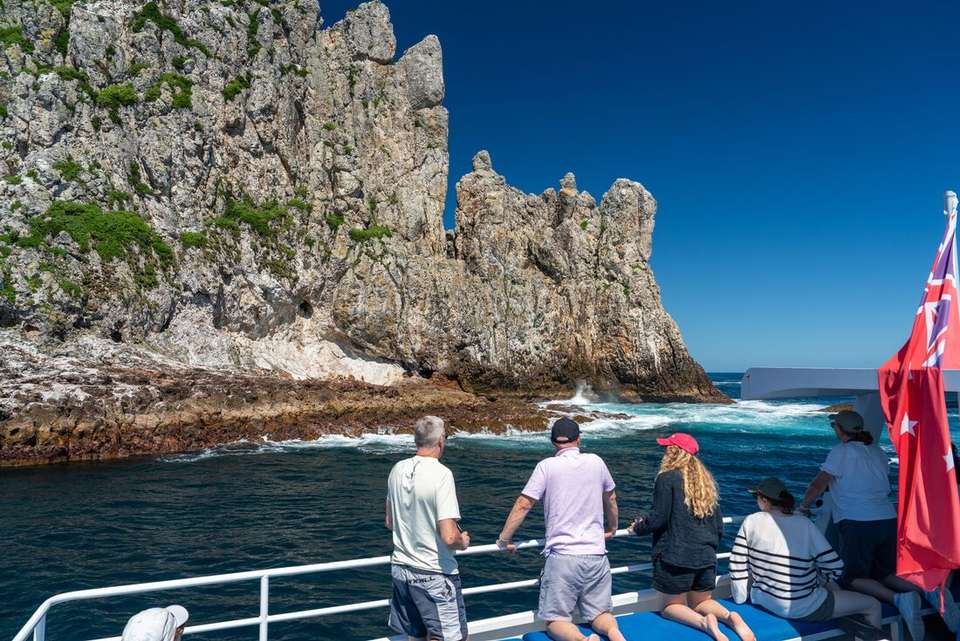 Ultimate New Zealand - Intrepid Travel - New Zealand - Image 7