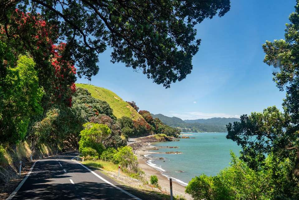 Ultimate New Zealand - Intrepid Travel - New Zealand - Image 6