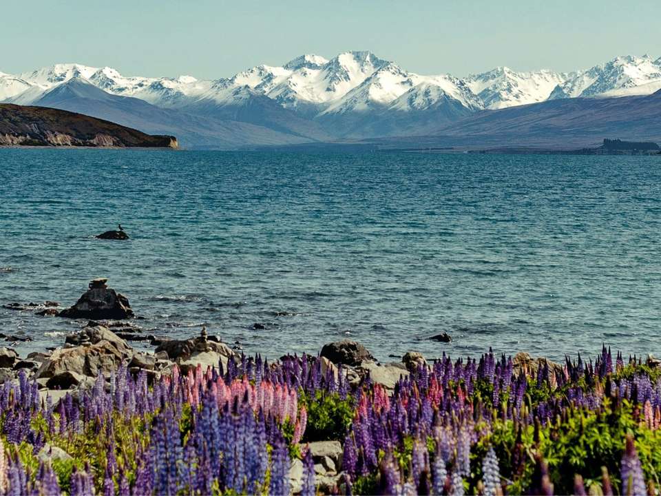 Ultimate New Zealand Highlights (Superior) - 19 days - On The Go Tours - New Zealand - Image 4