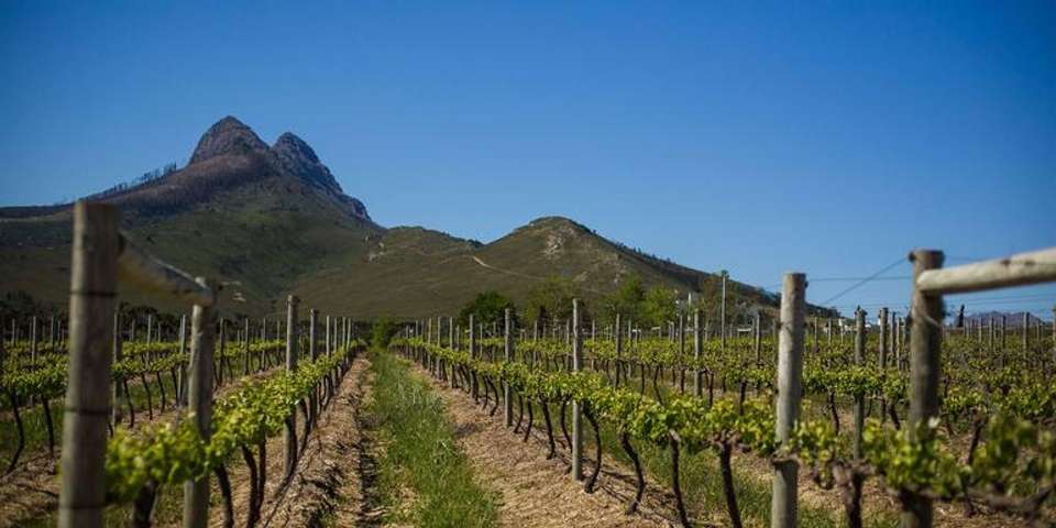Ultimate South Africa - G Adventures - South Africa - Image 1