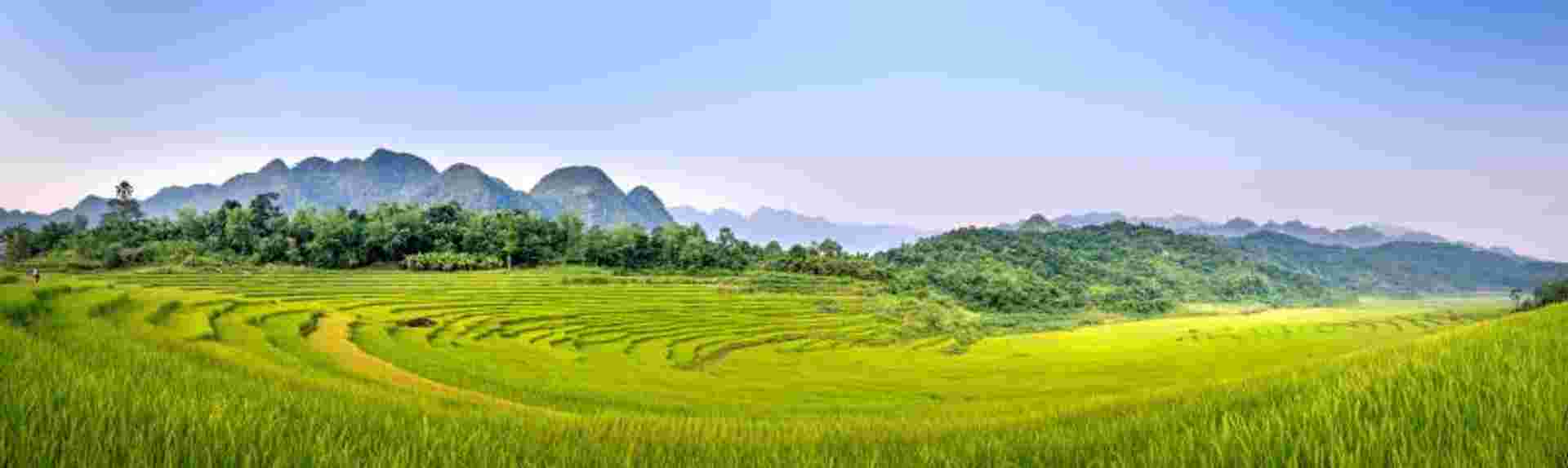 Ultimate Vietnam