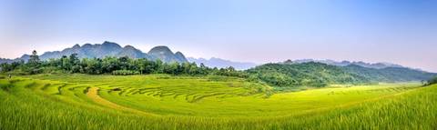 Ultimate Vietnam