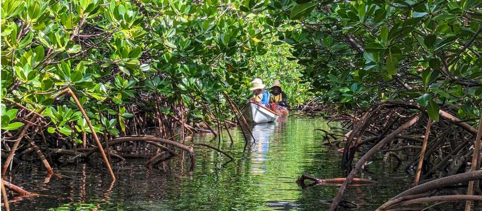 Ultimate Yasawa Sea Kayak Expedition - World Expeditions - Fiji - Image 6