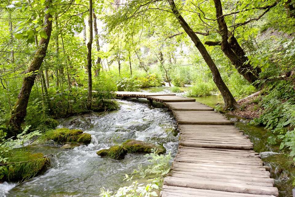 Unesco Heritage, Self-drive - Destination Services - Croatia - Image 1