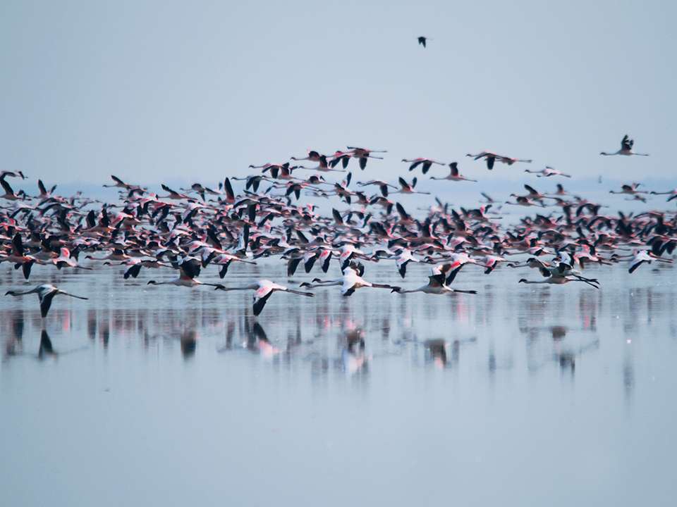 Unforgettable Africa: From Cape Town to the Okavango Delta - G Adventures - South Africa