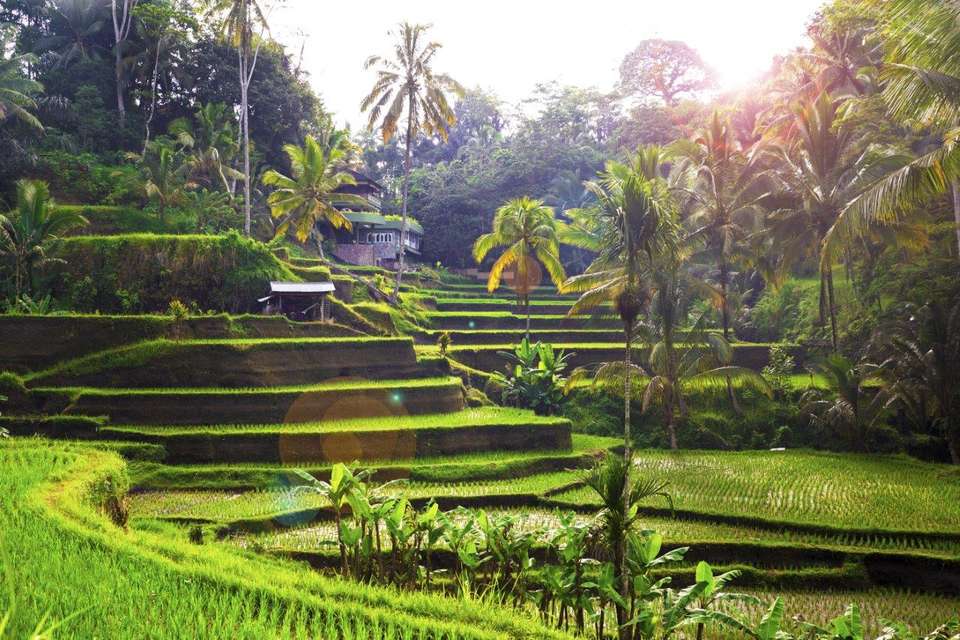 Unforgettable Bali, Private Tour - Destination Services - Indonesia - Image 1