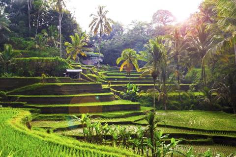 Indonesia Travel Deals: Unforgettable Bali, Private Tour