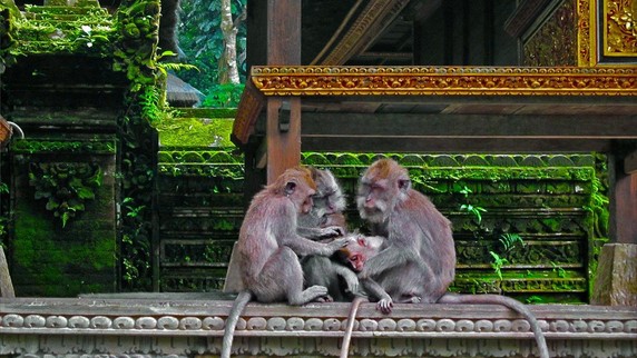 Image 5 of 8
