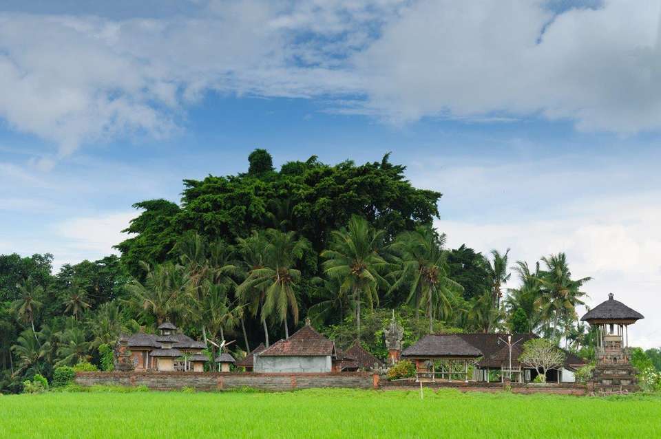 Unforgettable Bali, Private Tour - Destination Services - Indonesia - Image 7
