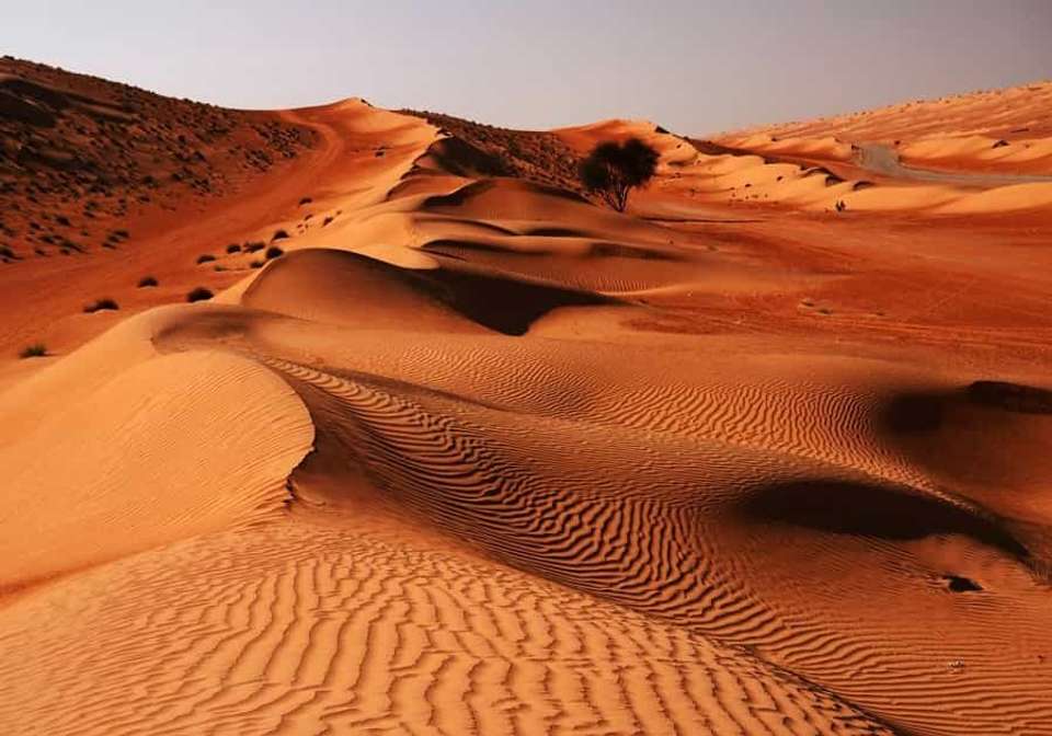 Unforgettable UAE and Oman - Indus Travels - UAE - Image 6