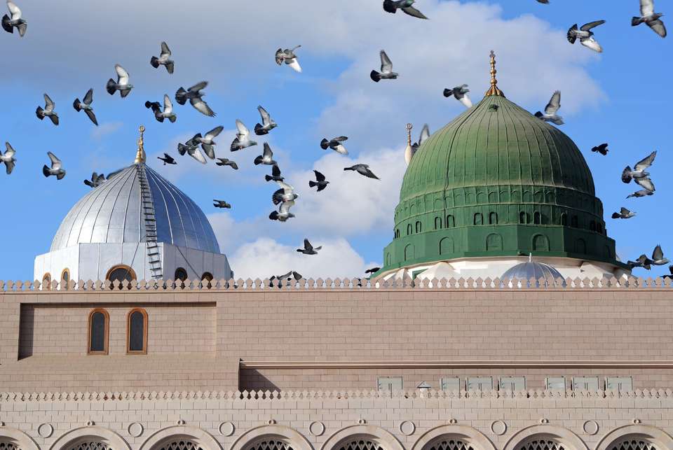 Unforgettable Saudi Arabia end Riad - undefined - Image 3