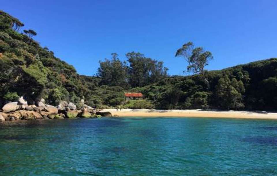 Unseen Stewart Island - undefined - Image 7