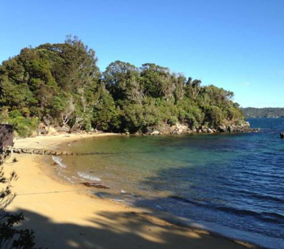 Unseen Stewart Island - undefined - Image 8