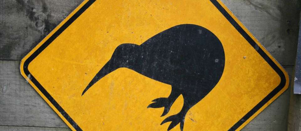 Unseen Stewart Island - undefined - Image 3