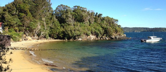 Image 5 of 11