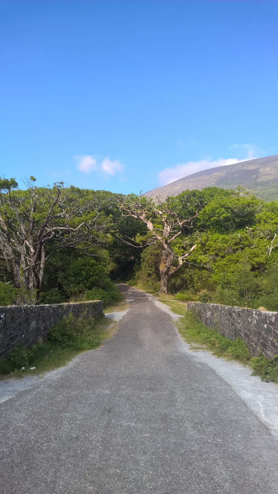 Unspoilt Ring of Kerry Cycling - Exodus Adventure Travels - Ireland - Image 2